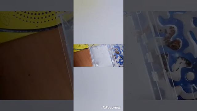 муравьиная ферма но я добавил песок смотреть онлайн