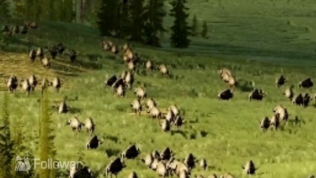 Halo Infinite CREATURE SPOTTED in trailer + all new Wildlife in gameplay смотреть онлайн