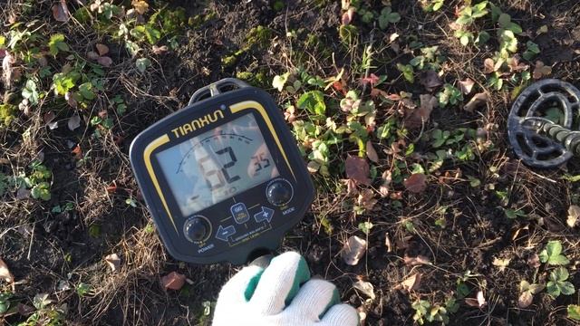 Про металлоискатели ТХ850 и МД6250. MD 6250 (ACE-250) или TX-850? Какой лучше?