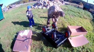 Обзор на супер Садовую тачку Самосвал, колесо D 260 4 штуки, тележка строительная, телега для сада