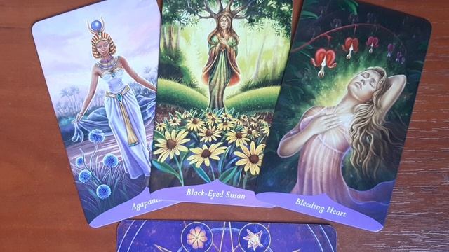 Новый обучающий курс!!! Оракул "Магия цветов" смотреть онлайн