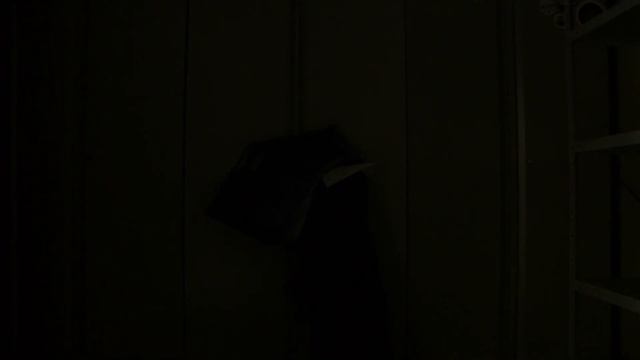 JVC GY HM600 vs SONY PMW 200. Low light test смотреть онлайн