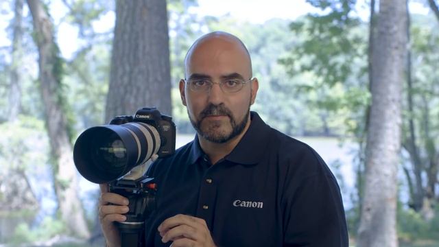 Canon EOS 7D Mark II Auto Focus Guide - Basics Of Bird In Flight Photography