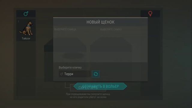 #ласдей разводим собак смотреть онлайн