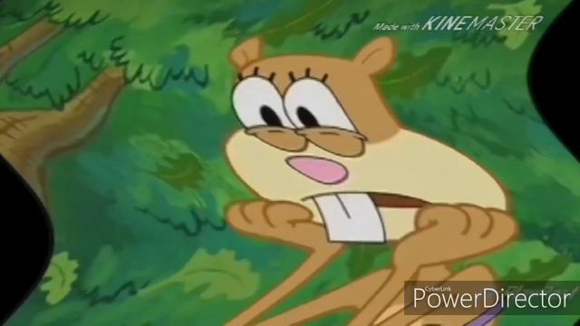 Sandy Scream VideoPad Effects