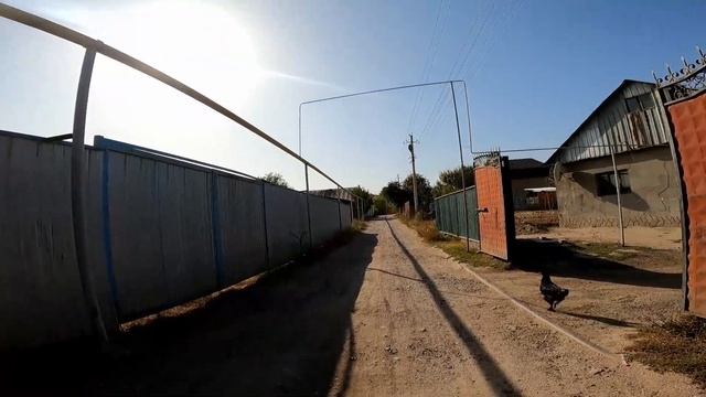 Kazakistan SINIR GEÇİŞİ Çok Saçma (DÖVİZ Ofisi YOK!) ?? #74 смотреть онлайн