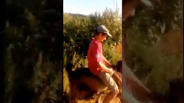 едем-едем в соседнее село на дискотеку смотреть онлайн