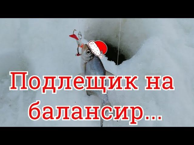 Подлещик на балансир?! Вот это рыбалка :-) #NIK_72 смотреть онлайн