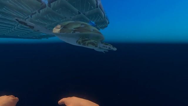 Встреча с черепахами - Raft смотреть онлайн