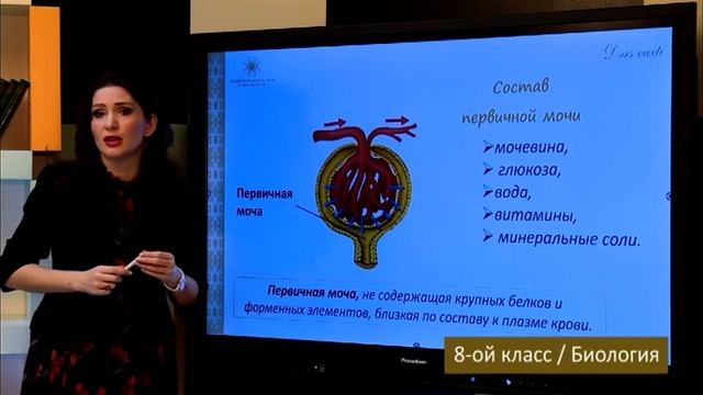 “Dərs vaxtı”: 8-ci sinif dərsləri (rus bölməsi) (18.03.2022) смотреть онлайн