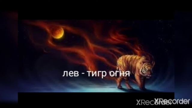 какой ты тигр по знаку зодиака? смотреть онлайн