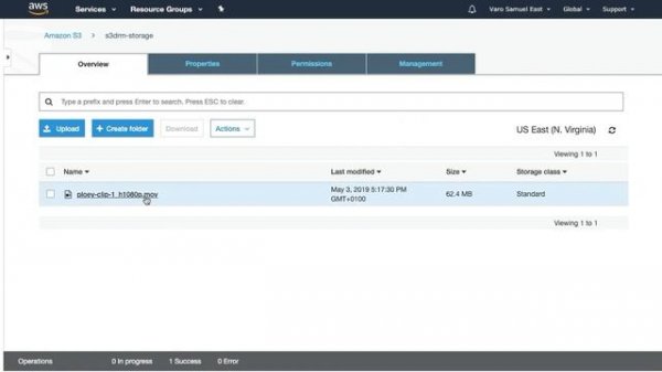 WordPress 2019 Secure Video Streaming With Woocommerce Functionality