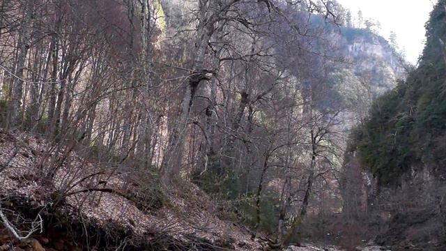 🌿Музыка Живой Природы 🌿Горная река🏞️RELAX ! смотреть онлайн