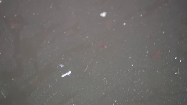 танец червячков смотреть онлайн