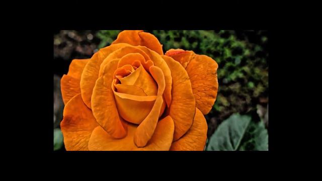 Отличная музыка для души, которую можно слушать вечно🎶Лучшая музыка🌹Самая красивая для души💖 смотреть онлайн