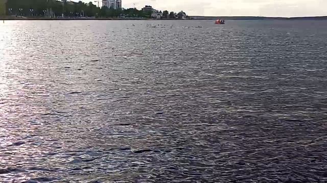 КРАСОТА ОНЕЖСКОГО ОЗЕРА В ЗАМЕДЛЕННОЙ СЪЕМКЕ REAL SLOW MOTION AMAZING ONEGO LAKE IN 2023 YEAR смотреть онлайн