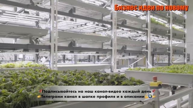Бизнес Идея 2023. Вертикальное земледелие. Бизнес 2023. Бизнес с нуля. Бизнес идеи. Идеи бизнеса смотреть онлайн