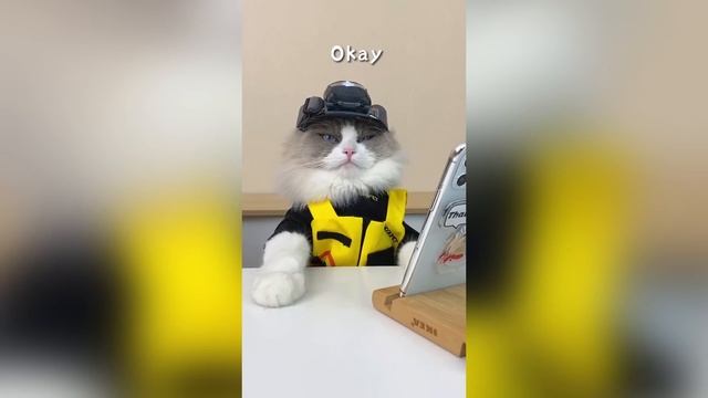 Most Liked That Little Puff Tiktoks 4 смотреть онлайн