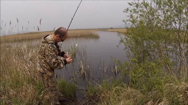 Рыбалка.Змееголов.Поставки с наживкой.Подготовка.Ч 1 смотреть онлайн