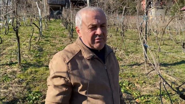 Поездка в горы Аджарии. Село Сагорети (Pirveli Maisi) . Виноградник и винодельня Нодари Шервашидзе. смотреть онлайн