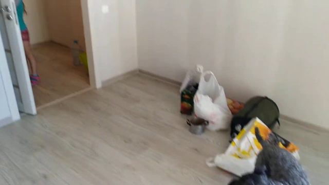 Приехали на летнюю квартиру на море 😁 смотреть онлайн