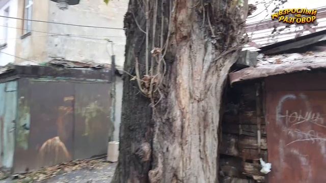 Такое не покажут по TV / Одесса Трущобы у Привоза: Преображенская, Новощепной ряд, Пантелеймоновска смотреть онлайн