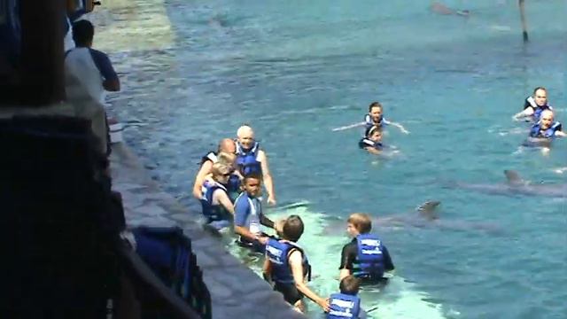 Dolphins and people Дельфины и люди смотреть онлайн