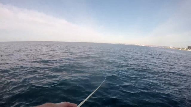 Как Ловить саргана на железо (пилькеры) в Чёрном море. Севастополь, октябрь 2020г смотреть онлайн