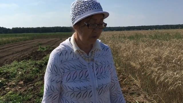 Уборка чеснока озимого // Темирбекова С.К. смотреть онлайн