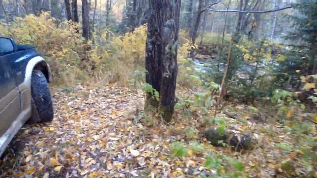 Приток Томи в сентябре. Разведка новых мест смотреть онлайн