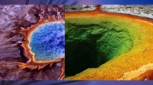 "Подцарство архебактерии", Биология 7 класс, Сивоглазов.mp4