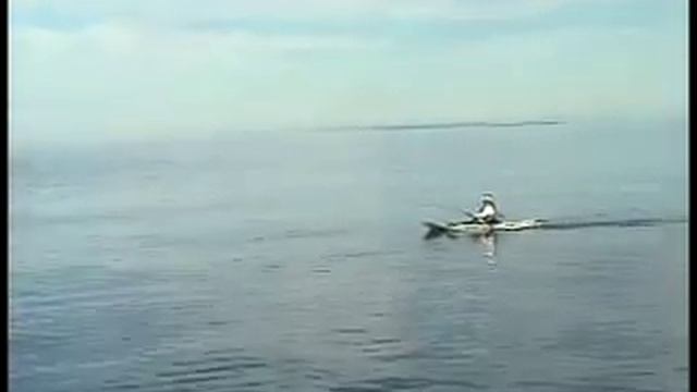Kayak Fishing For Marlin смотреть онлайн
