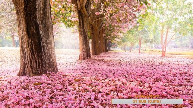 ✅?ИГРАЕМ КСГО ТУРНИР + РАЗМИНКА! смотреть онлайн