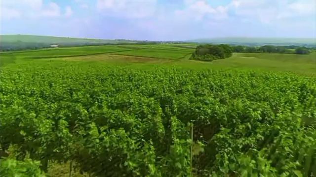 Чем запомнился уходящий год в Анапе