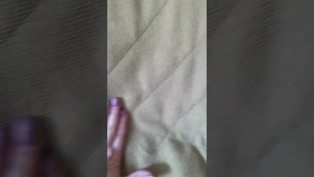 Флок, велюр или рогожка. С какой ткани лучше очищается шерсть животных. смотреть онлайн