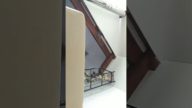 глупое видео как дети играют в майнкрафт. 5 мая 2018 г. смотреть онлайн