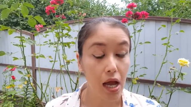 Особые развлечения и уникальные проекты