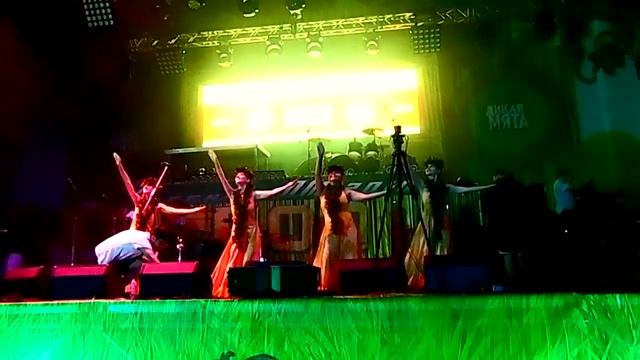 Дикая Мята 2016. Дом Гавайского Танца. Somewhere over the Rainbow. смотреть онлайн