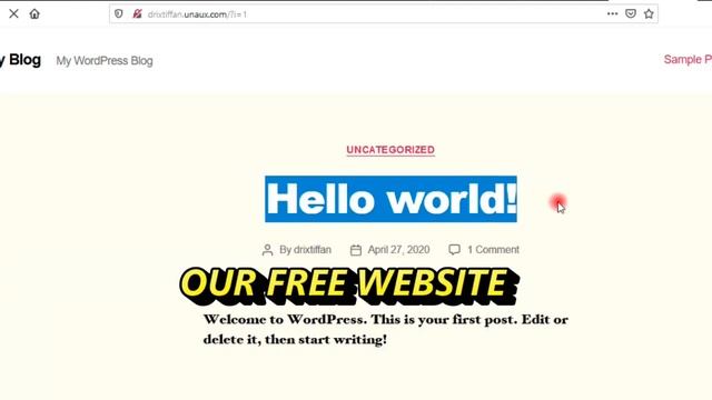 How to Migrate Offline Website to Online Website | free domain | WordPress смотреть онлайн