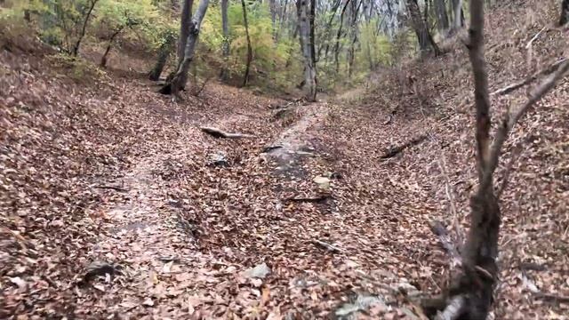 По дороге в Новороссийск ? можно посетить Пустынь Феодосия Кавказского. Часовня. Россия ?? смотреть онлайн