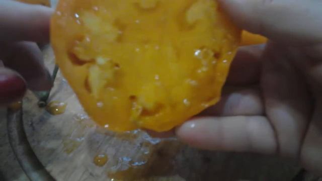 Томат "Оранжевый бизон" смотреть онлайн