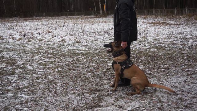 Barracuda Ot Shato Bulgar-первый зимний день 1 смотреть онлайн