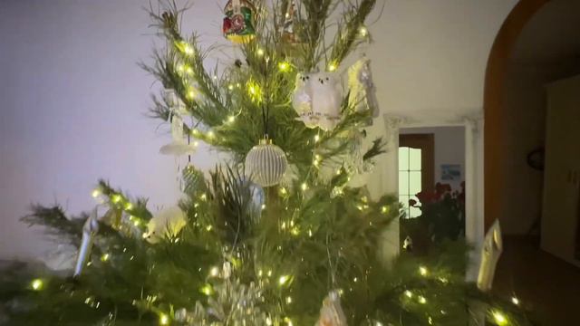 Новый год 2024 Какие подарки Евочка нашла под елкой 🎄 распаковка и обзор смотреть онлайн