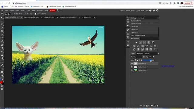 Editing: Photomontage in Photopea смотреть онлайн