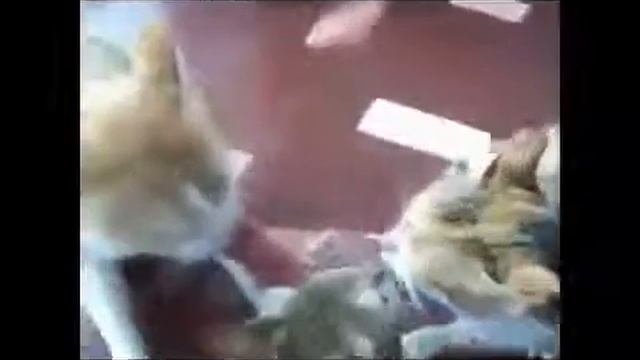 КотэПортреты смотреть онлайн