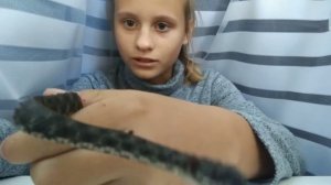 Мои ужики,змеи,домашние питомцы,как живут)