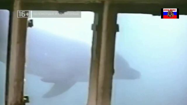 «ТАЙНЫ ЧАПМАН» Беломордые и крупнозубые 10 11 21 !!!!! смотреть онлайн