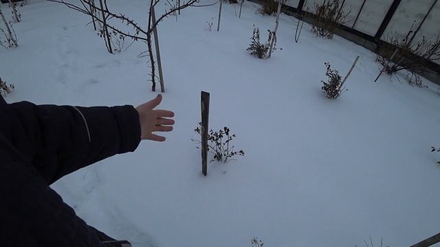 Я утепляю кустарники только так смотреть онлайн