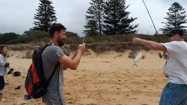 Рыбалка с берега в Тихом Океане. Джеррингонг Кайяма Австралия смотреть онлайн