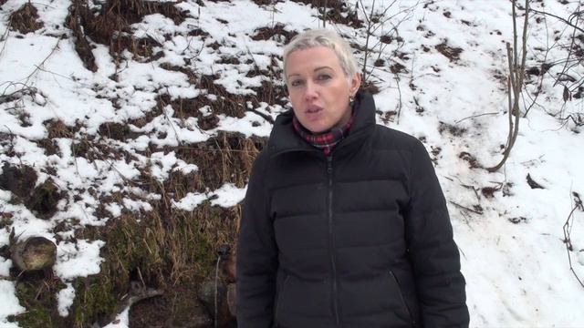 Очищение организма. Весна на дворе - пора за дело! смотреть онлайн